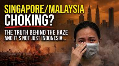 Malaysia's Haze Crisis: Are We Treating the Symptoms Instead of Fighting the Cause?