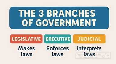 Does the System of Checks and Balances Work Anymore?
