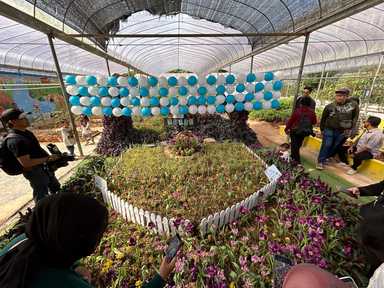 A “Mini Holland” in Cameron Highlands? Here’s What We Discovered