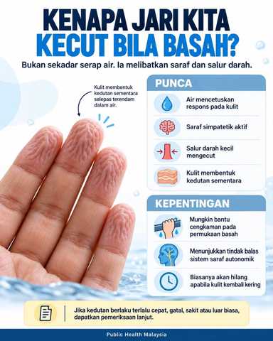 Kenapa jari kita kecut bila basah?
