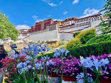 My Tibet Adventure: Surviving High Altitude & Climbing Potala Palace