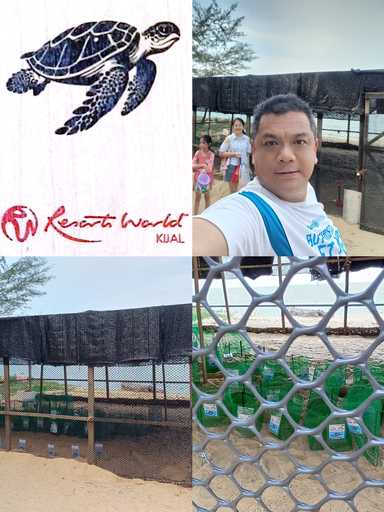 #EiTahuTak | Sea Turtles Travel Thousands of Kilometres to Return Home — And Malaysia's East Coast Is Part of Their Story