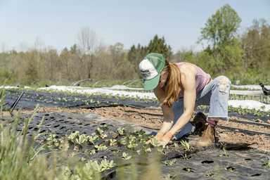 “Be a Farmer”: AI Company Shocks World by Calling Farming the Safest Job in AI Era