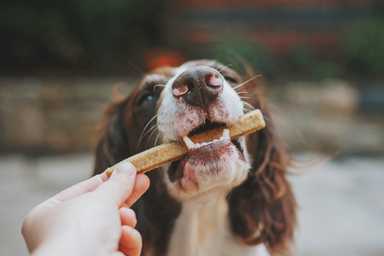 Eco-Friendly Pet Food
