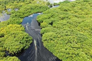 OPINION | When ecosystems cross borders, information must too