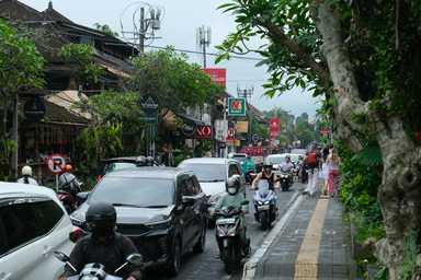 Narrow Roads, Human Signals: My Journey Across Bali’s Streets