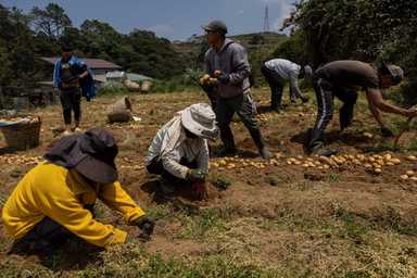 Food supply sufficient for Super El Niño, P45-B aid coming for farmers – DA