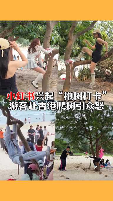 小红书兴起“抱树打卡”　游客赴香港爬树引众怒