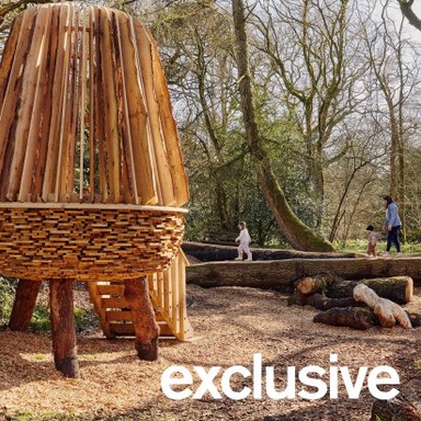 Woodland playscape in Gloucestershire crafted from surrounding trees