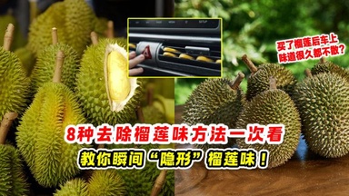 8种去除榴莲味方法 一次看✨教你瞬间“隐形”榴莲味❗