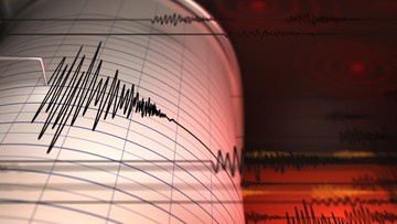 Gempa M 4,1 Terjadi di Pangandaran