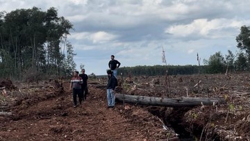 Perambahan 20 Ha Hutan di Bengkalis Terungkap Lewat Drone, Pelaku Ditangkap