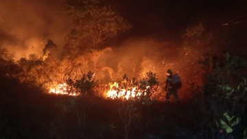 Komisi II DPR Ingatkan Patuhi Instruksi Larangan Buka Lahan dengan Membakar
