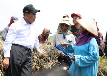 Nilai Tukar Petani Tembus 131,11, Naik 1,49 Persen di September 2026