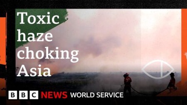 Indonesia’s toxic haze: Who’s behind the fires?
