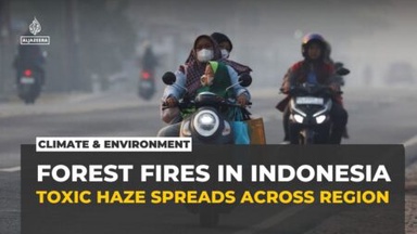 We are not angry enough! Part 2: Is El Niño the real culprit behind Asean haze?