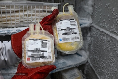 Darah Jenis O Terima Permintaan Tinggi, Bekalan Negara Di Ambang Kritikal