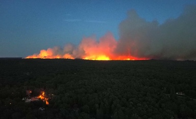 800 Hektare Hutan Fontainebleau di Paris Hangus Terbakar, Penerbangan Pemadam Dikerahkan