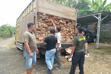 Angkut 9 Meter Kubik Kayu Ilegal, Pria 46 Tahun Ditangkap di TN Bukit Tigapuluh