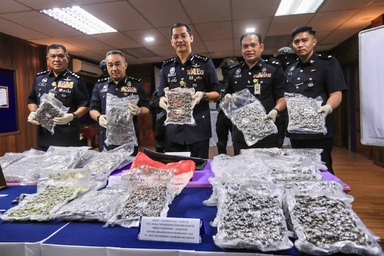 Rumah Pusaka Jadi Stor Ganja, Dua Beradik Ditahan Bersama 22KG Bahan Terlarang