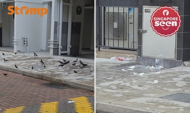 Ghim Moh resident requests CCTV cameras to catch litterbugs, bird feeders — and might get her wish