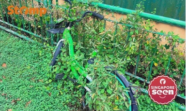 Anywheel bicycle abandoned at Sungei Kadut for so long, vines have grown all around it
