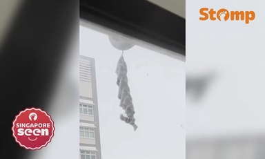 ‘Corkscrew’-shaped nest hanging outside Bukit Batok flat leaves Stomper puzzled