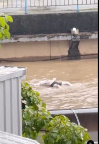 Penampakan ‘Patung’ Terapung Dibawa Arus Di Sungai Klang Jadi Tumpuan
