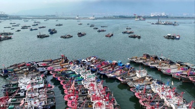 As Typhoon Bavi nears, Chinese bloggers warned amateur AI forecasts may be illegal