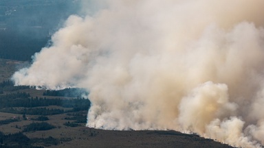 Belgium battles worst wildfire on record, EU allies come to aid