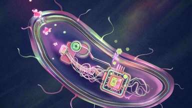 ‘Smart’ diabetes probiotic; Chinese missile AI with 90% accuracy: 7 science highlights