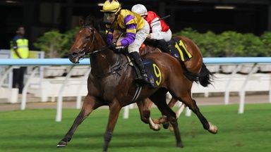 Group races the long-term aim for hat-trick-seeking Le Zonda as he returns at Happy Valley