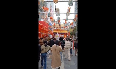 Blooming Traditions: Strolling Guangzhou's Flower Streets #CNY2025