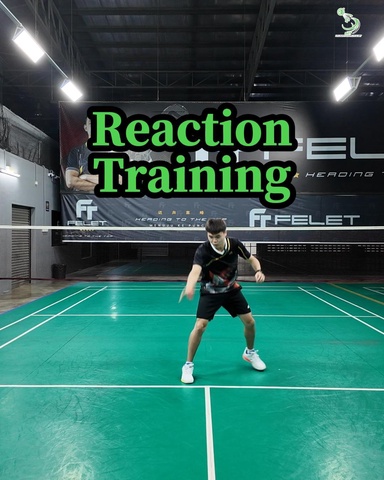 Reaction Training | Mastering the Multi-Directional Reaction Ball