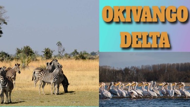 Okavango Safari Adventures