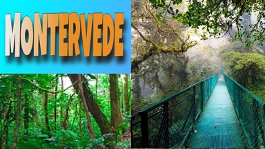 Explore Monteverde Reserve