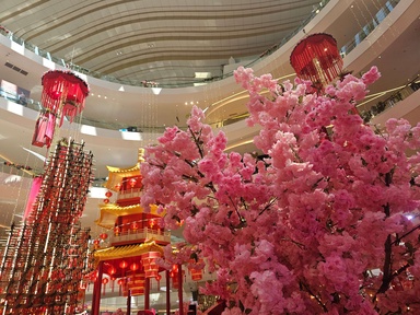 新春气息 #CNY2026