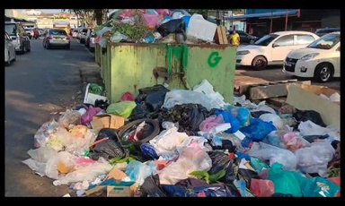 School students go on crusade to wipe out carbon footprint #GreenWav