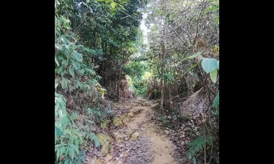Hiking Place for Beginner - SACF + Ketumbar Hill