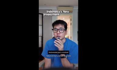 Indonesia's new investment fund has a very unusual bond