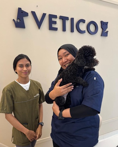 Vetico Animal Clinic, Rivercity KL: Where Expert Care Meets Comfort