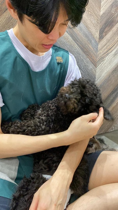 Pawsitively Miserable. Purrfectly Pampered: Welcome to Grumpy Dog Hotel