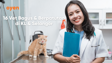 16 Senarai Vet Bagus & Berpatutan di KL & Selangor