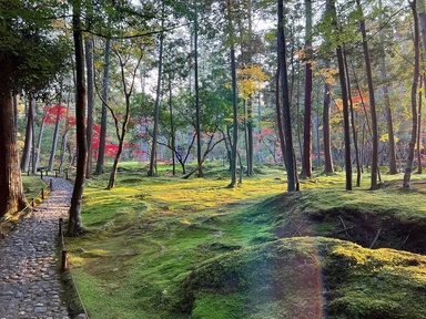 From Kyoto Zen temples to Edo-era masterpieces: 12 most beautiful gardens in Japan