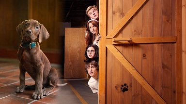 Cartoons to live-action adaptations: from ‘Masters of the Universe’ to Netflix’s upcoming ‘Scooby-Doo: Origins’