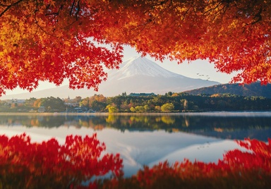 Where to go to reconnect with nature