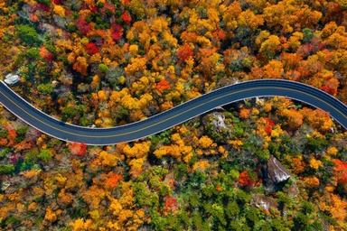The 14 Best Places for Leaf Peeping in the United States