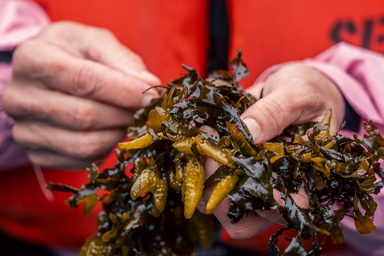 The Best Seafood Trip in Alaska Isn’t About Salmon