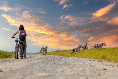 The Top 9 National Parks and Reserves in Kenya To Visit in the Fall