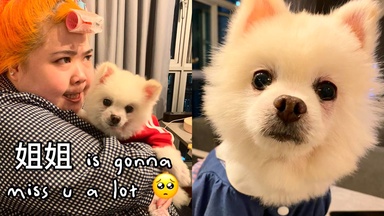 Xixi Lim Mourns The Passing Of Her Dog, The Third Time She's Lost A Pet: "It Hurts Even More Each Time"